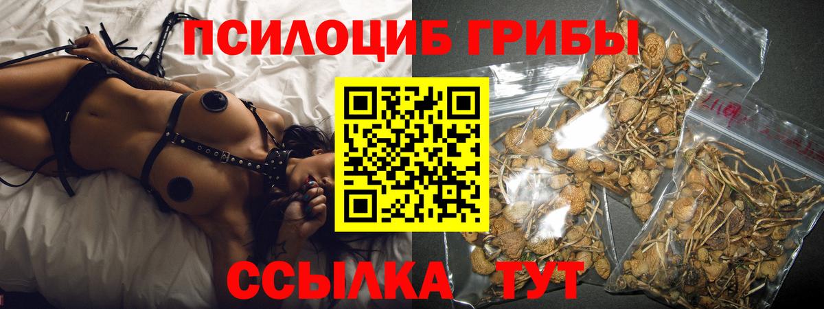 Псилоцибиновые грибы ЛСД Добрянка